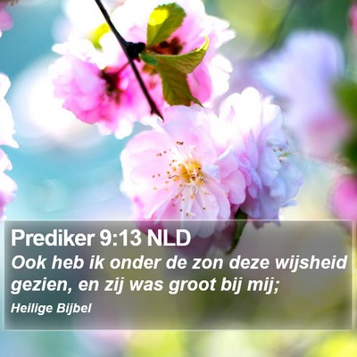 Prediker 9:13 NLD Bible Verse Image