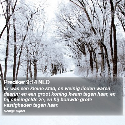 Prediker 9:14 NLD Bible Verse Image