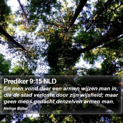 Prediker 9:15 NLD Bible Verse Image