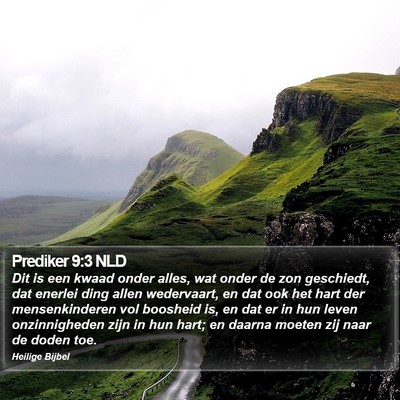 Prediker 9:3 NLD Bible Verse Image