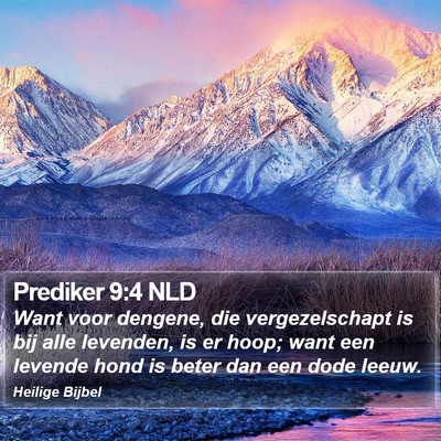 Prediker 9:4 NLD Bible Verse Image