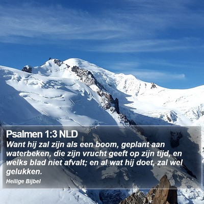 Psalmen 1:3 NLD Bible Verse Image