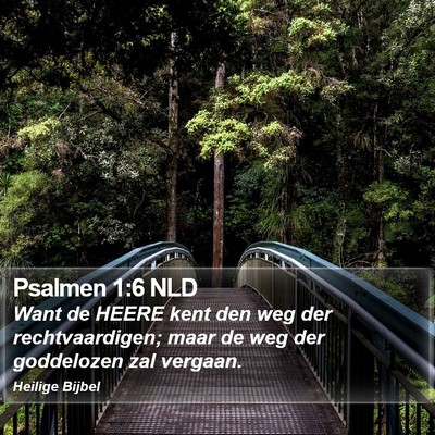 Psalmen 1:6 NLD Bible Verse Image