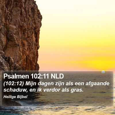 Psalmen 102:11 NLD Bible Verse Image