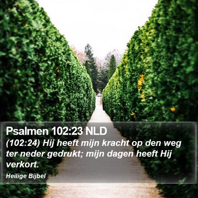 Psalmen 102:23 NLD Bible Verse Image