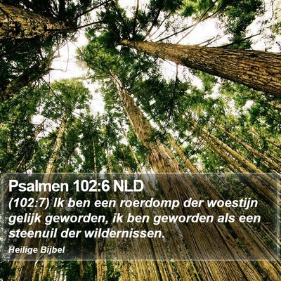 Psalmen 102:6 NLD Bible Verse Image