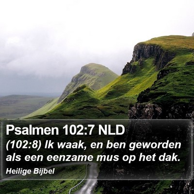 Psalmen 102:7 NLD Bible Verse Image