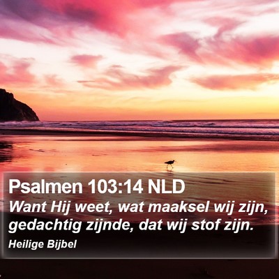 Psalmen 103:14 NLD Bible Verse Image