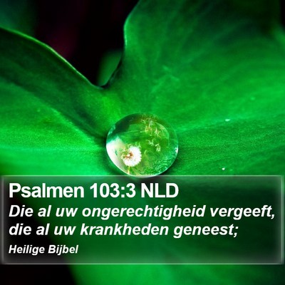 Psalmen 103:3 NLD Bible Verse Image