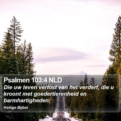 Psalmen 103:4 NLD Bible Verse Image