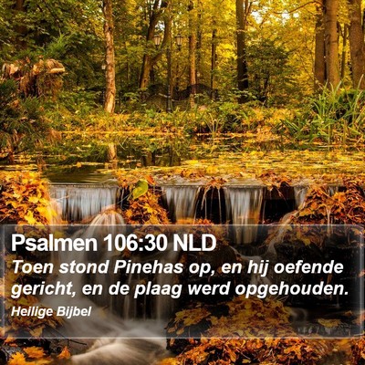 Psalmen 106:30 NLD Bible Verse Image