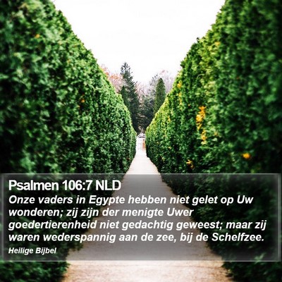 Psalmen 106:7 NLD Bible Verse Image