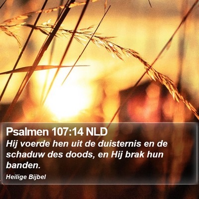 Psalmen 107:14 NLD Bible Verse Image
