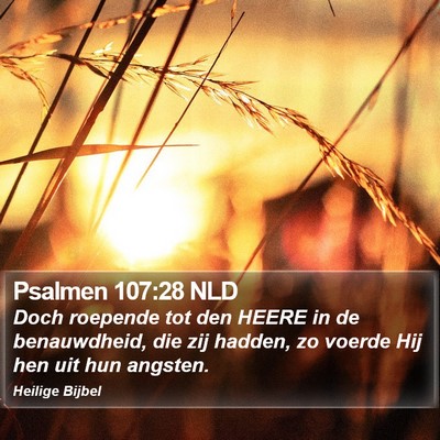Psalmen 107:28 NLD Bible Verse Image
