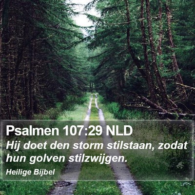 Psalmen 107:29 NLD Bible Verse Image