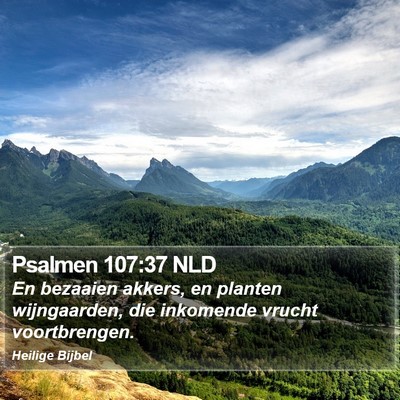Psalmen 107:37 NLD Bible Verse Image