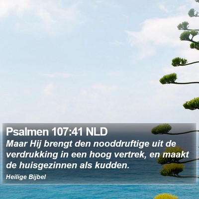 Psalmen 107:41 NLD Bible Verse Image