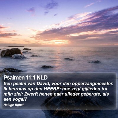 Psalmen 11:1 NLD Bible Verse Image