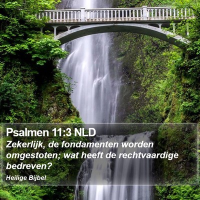 Psalmen 11:3 NLD Bible Verse Image