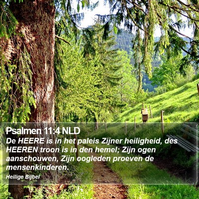 Psalmen 11:4 NLD Bible Verse Image