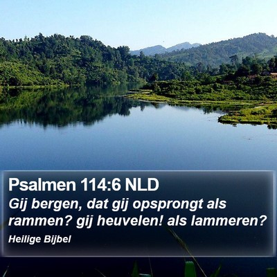 Psalmen 114:6 NLD Bible Verse Image