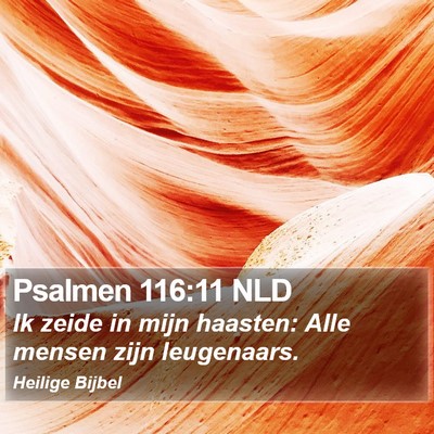 Psalmen 116:11 NLD Bible Verse Image