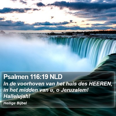 Psalmen 116:19 NLD Bible Verse Image