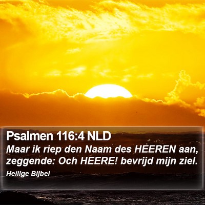 Psalmen 116:4 NLD Bible Verse Image