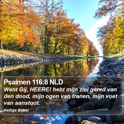 Psalmen 116:8 NLD Bible Verse Image