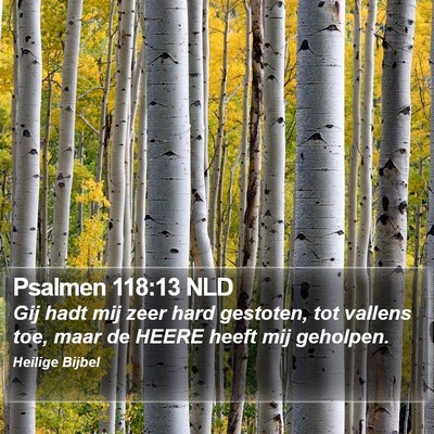 Psalmen 118:13 NLD Bible Verse Image