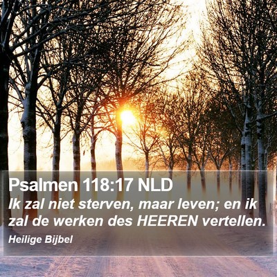 Psalmen 118:17 NLD Bible Verse Image