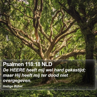 Psalmen 118:18 NLD Bible Verse Image