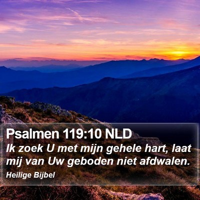 Psalmen 119:10 NLD Bible Verse Image