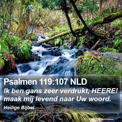 Psalmen 119:107 NLD Bible Verse Image
