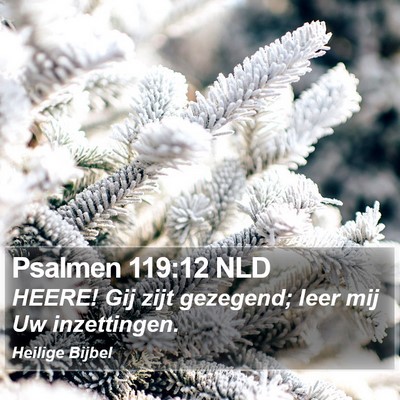 Psalmen 119:12 NLD Bible Verse Image