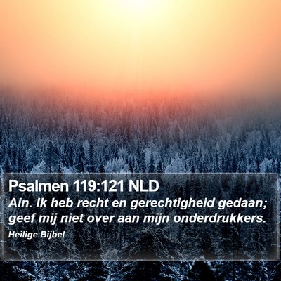 Psalmen 119:121 NLD Bible Verse Image