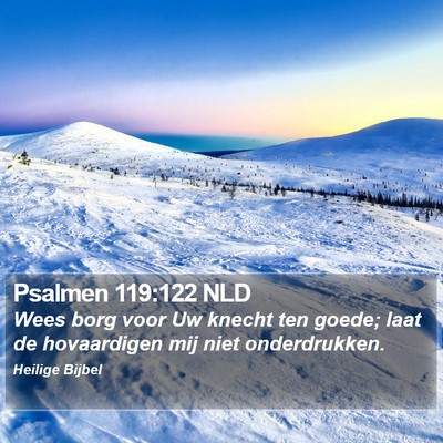Psalmen 119:122 NLD Bible Verse Image