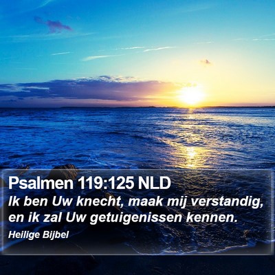 Psalmen 119:125 NLD Bible Verse Image