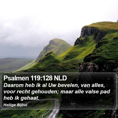 Psalmen 119:128 NLD Bible Verse Image