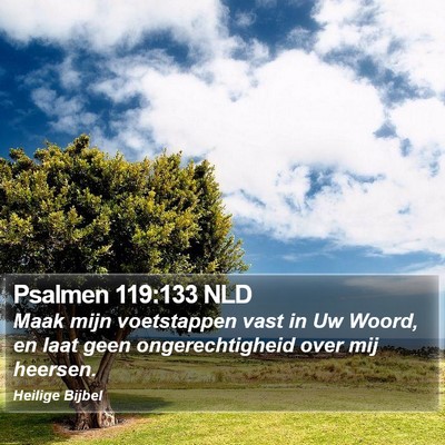 Psalmen 119:133 NLD Bible Verse Image