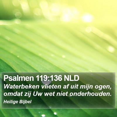 Psalmen 119:136 NLD Bible Verse Image