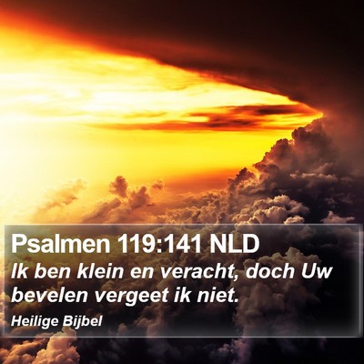 Psalmen 119:141 NLD Bible Verse Image