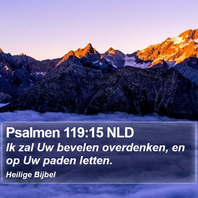 Psalmen 119:15 NLD Bible Verse Image
