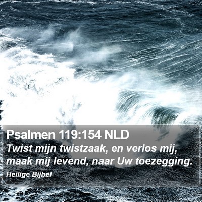 Psalmen 119:154 NLD Bible Verse Image