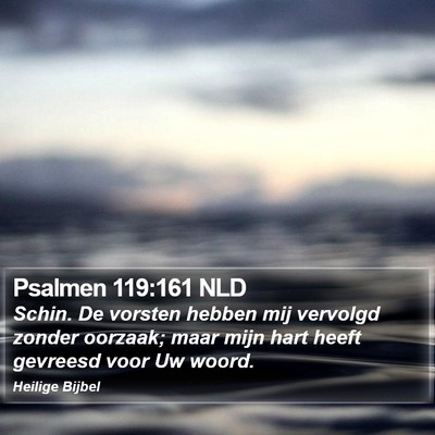 Psalmen 119:161 NLD Bible Verse Image