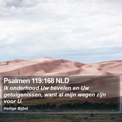 Psalmen 119:168 NLD Bible Verse Image