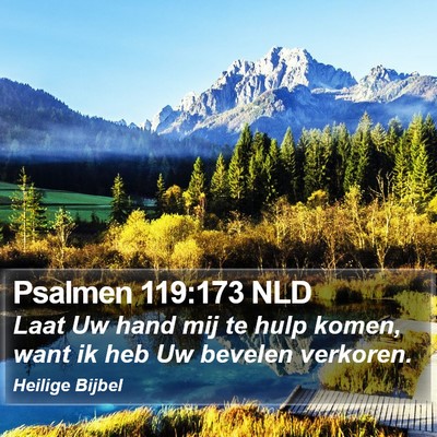 Psalmen 119:173 NLD Bible Verse Image
