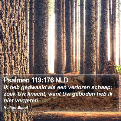 Psalmen 119:176 NLD Bible Verse Image