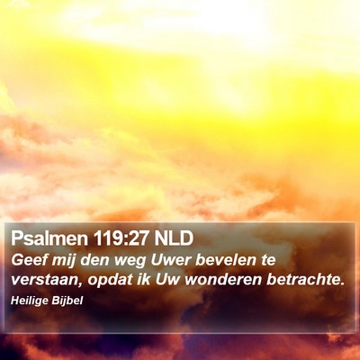 Psalmen 119:27 NLD Bible Verse Image