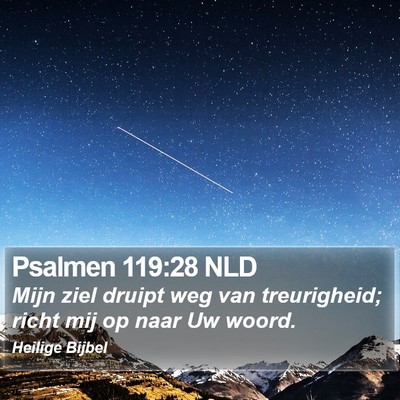 Psalmen 119:28 NLD Bible Verse Image